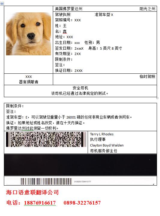 美国驾照翻译模板